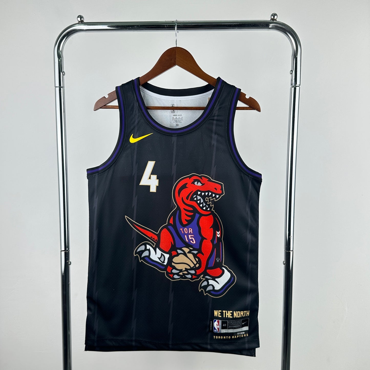 25th season Raptors City Edition