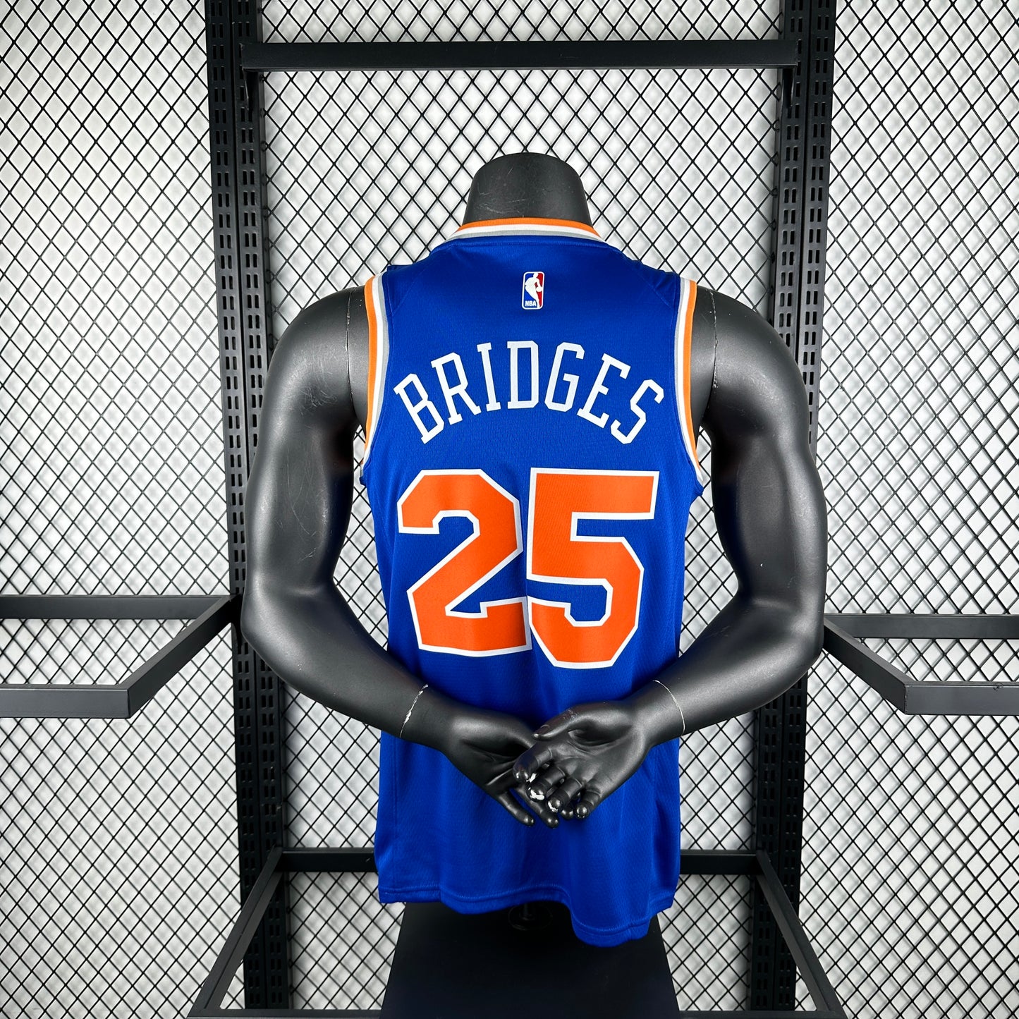 25th season Knicks Blue