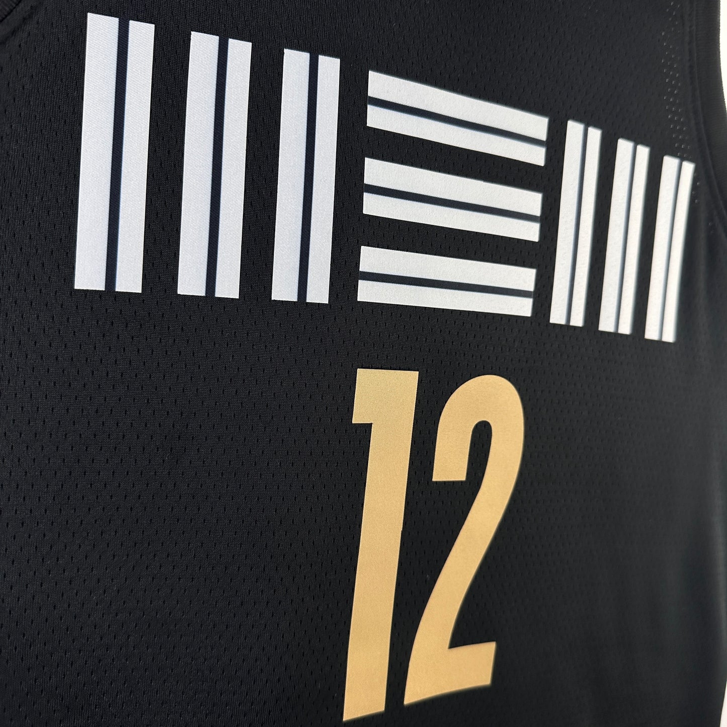 24 Season Grizzlies City