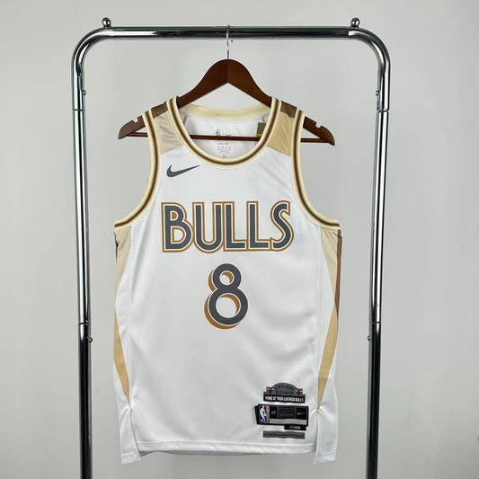 25th season Bulls City Edition