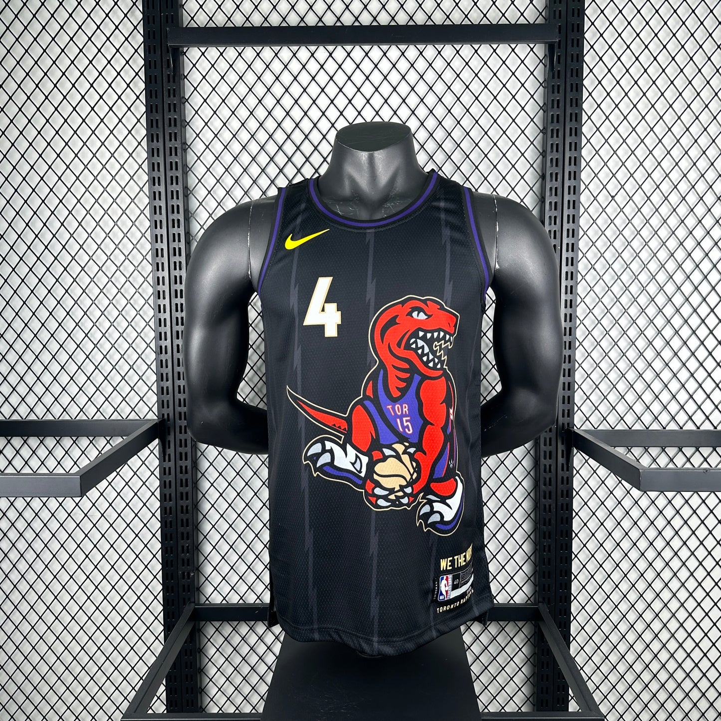 25th season Raptors City Edition